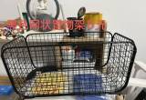 离职出闲置（全部超低价出售 大都15元以下）