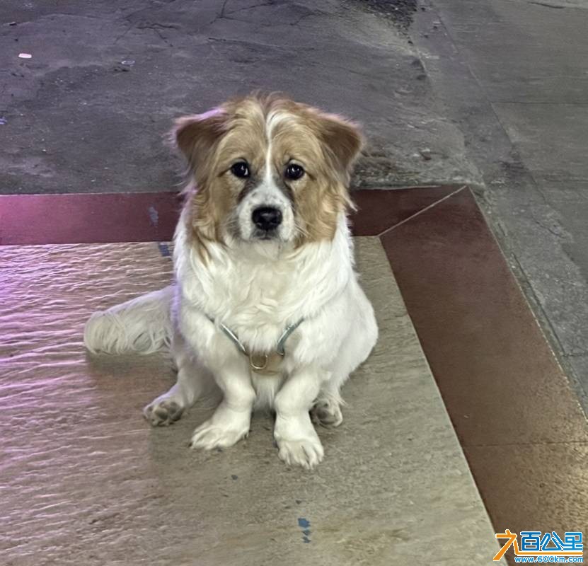 wechat_upload1771990126699e6c6e73221