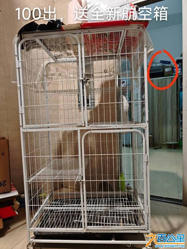 wechat_upload177218270069a15cacb5fb8