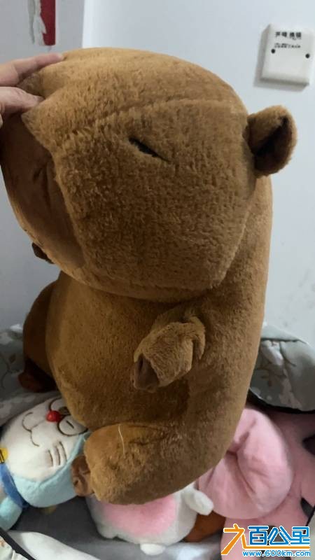 wechat_upload177304362469ae7fa841809