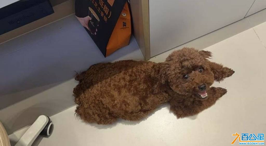 wechat_upload177313923869aff526dcaa7