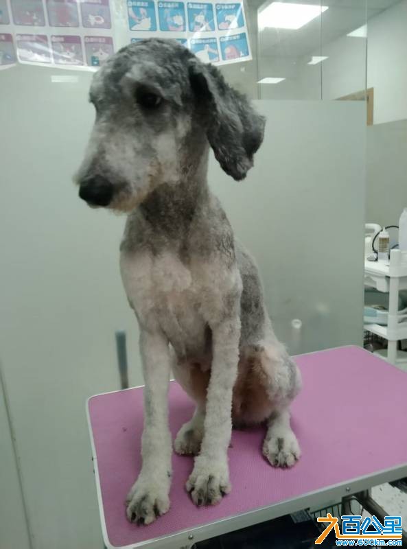 wechat_upload177313923969aff527dabfe