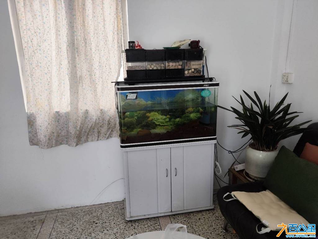 wechat_upload177462540069c6a278952d4