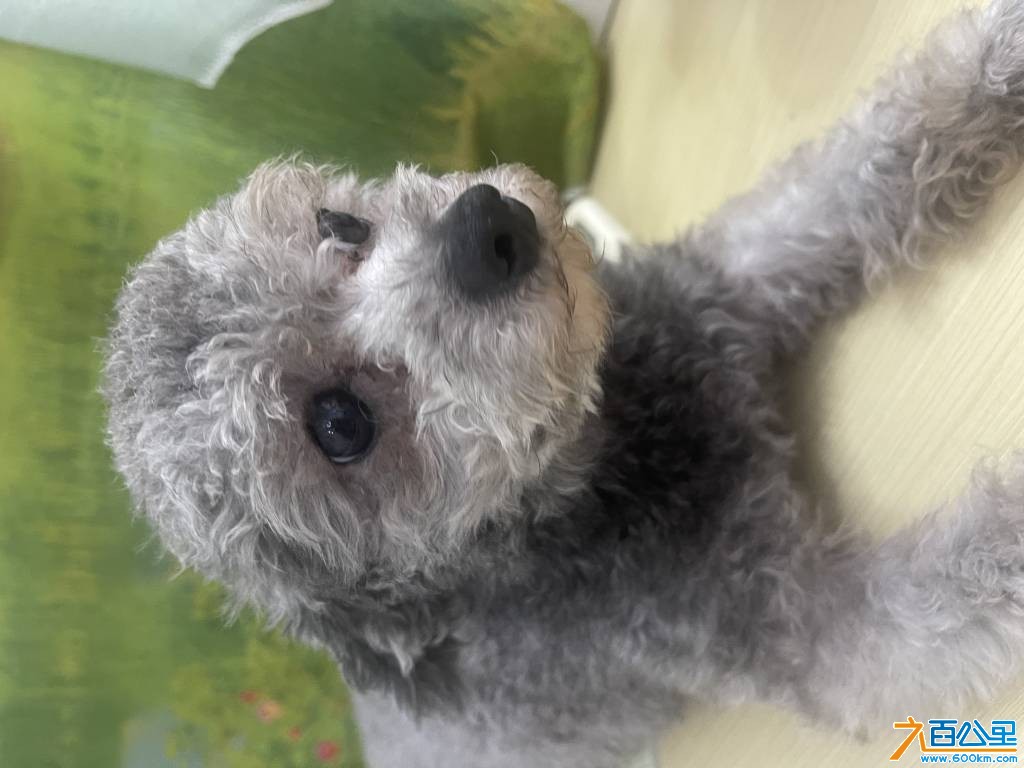 wechat_upload177211042169a042553db7c