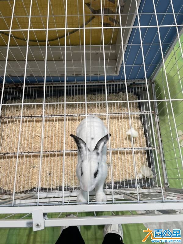 wechat_upload177346018169b4dad5a5b33