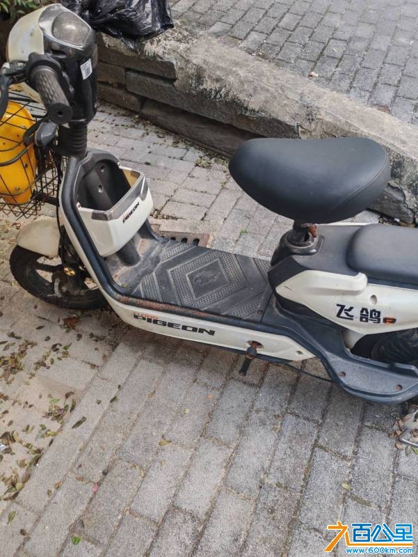 wechat_upload177553336669d47d36c5cb0