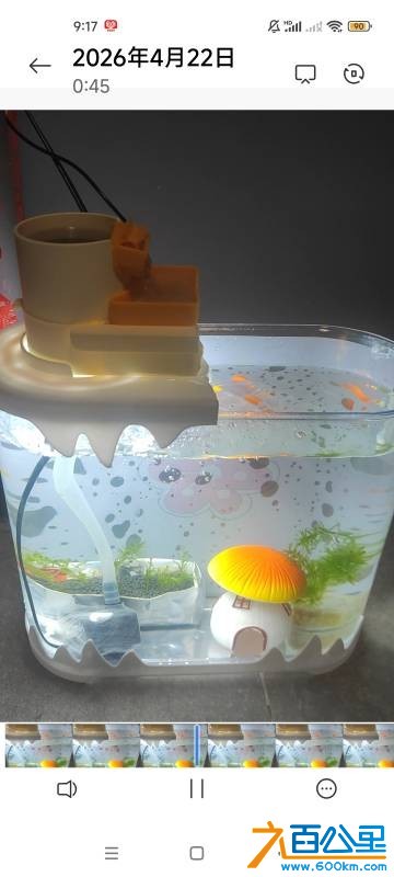 wechat_upload177682108069e8235847724