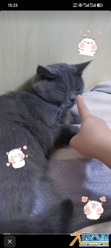 wechat_upload177684277669e87818f0391