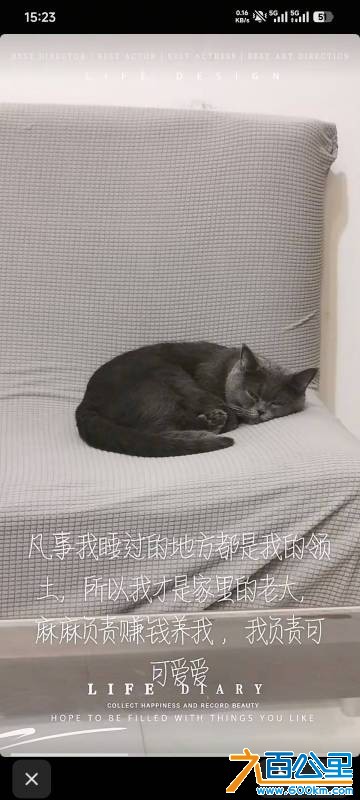 wechat_upload177684277769e87819c1ea2