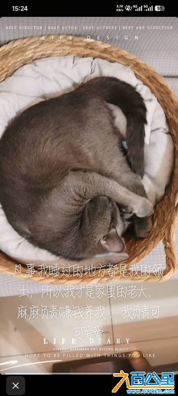 wechat_upload177684277969e8781b47c17