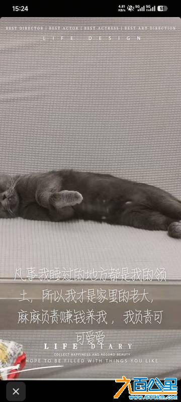 wechat_upload177684278069e8781c0c37e