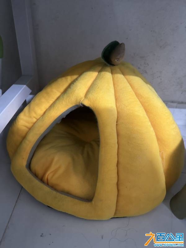 wechat_upload177707619269ec07e0716d8