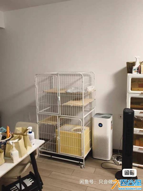 wechat_upload177710824269ec851243d86