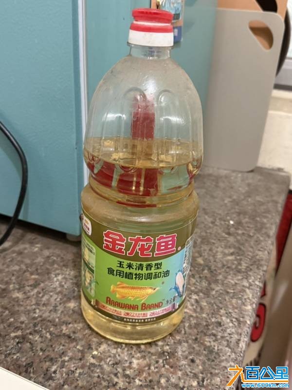 wechat_upload177737518069f097cce4ae2